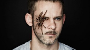 DominicMonaghan_Spider_640x360