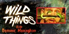 Wild Things with Dominic Monaghan 1-22-13