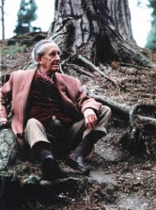 Tolkien sitting under his favourite tree Pinus nigra