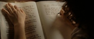 Frodo writing