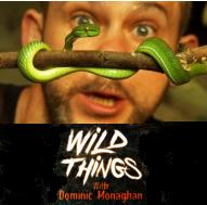 Wild Things Dom Monaghan season 2