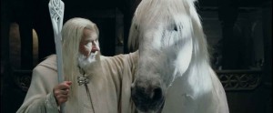 Blanco, horse that played Shadowfax in The Lord of the Rings.