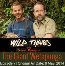 Dom and Billy on Wild Things