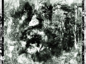 The dreams of trees - portrait and figure